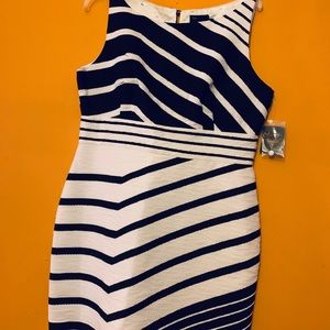 Just Taylor knee length dress Nwot